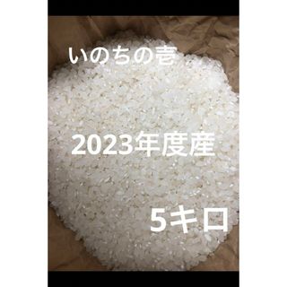 信州産　いのちの壱　うるち米　5キロ(米/穀物)