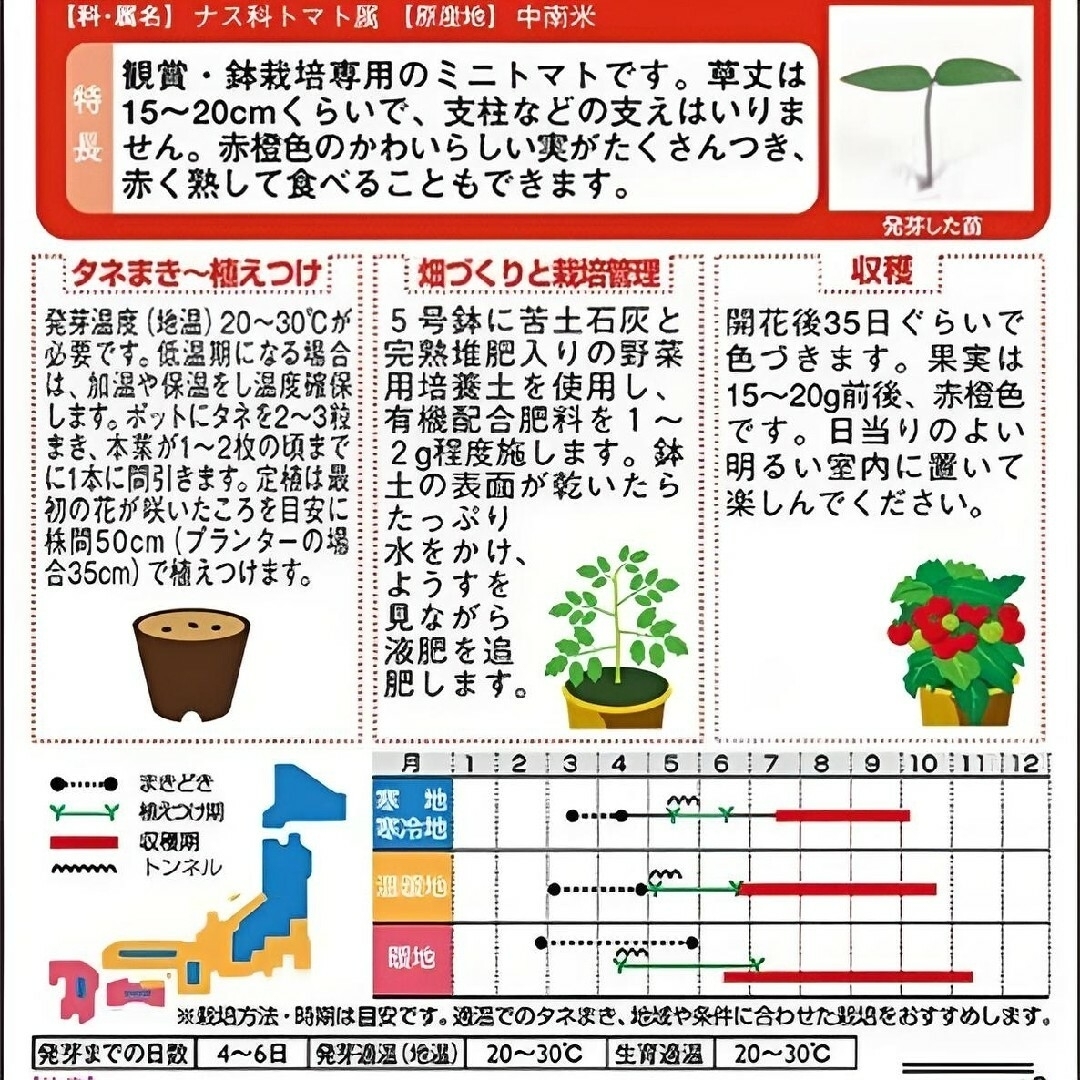 野菜の種 支柱の要らないミニトマト！ レジナ 12粒 ハンドメイドのフラワー/ガーデン(その他)の商品写真