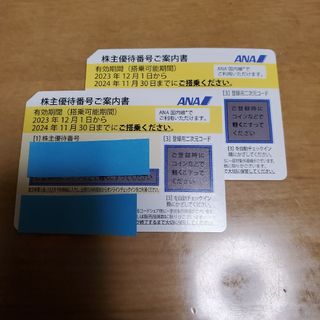 エーエヌエー(ゼンニッポンクウユ)(ANA(全日本空輸))のANA優待券(航空券)