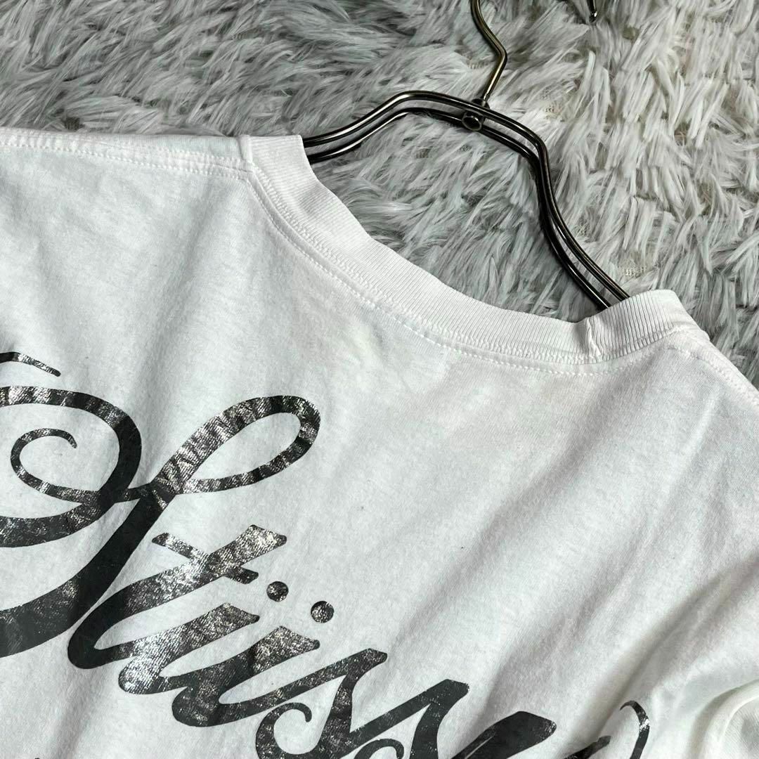 STUSSY(ステューシー)のSTUSSY ビッグプリントTシャツ　半袖　Mサイズ　メンズ　ロゴ入り　廃盤品 メンズのトップス(Tシャツ/カットソー(半袖/袖なし))の商品写真