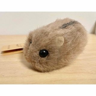 やまね工房 ヤマネ 信州 ぬいぐるみ タグ付き ヤマネ工房(ぬいぐるみ)