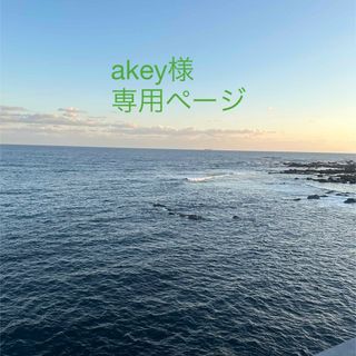 042401 akey様専用ページ　ペットボトルホルダー (雑貨)