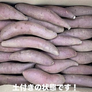 【Sサイズ】　シルクスイート  5Kg   愛知県産  さつまいも(野菜)