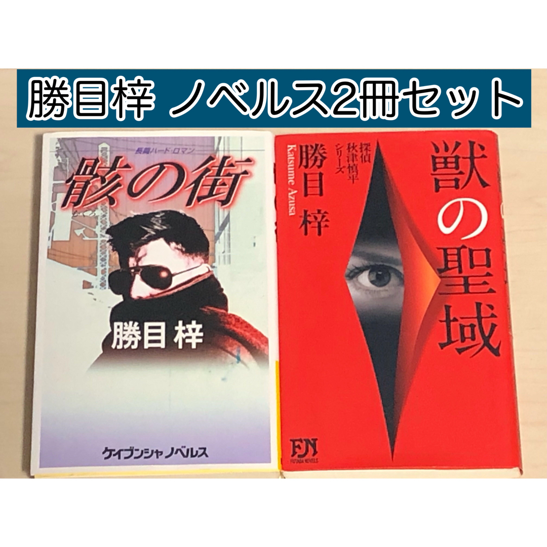 【小説】 骸の街 、 獣の聖域　勝目 梓 / 著 ノベルス2冊セット エンタメ/ホビーの本(文学/小説)の商品写真