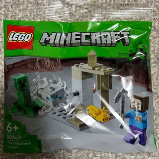 レゴ(Lego)のLEGO マインクラフト 30647 鍾乳洞 ミニセット(その他)