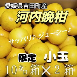 【限定】愛媛県産★農家直送★河内晩柑 小玉10㌔箱✕２箱縛り(フルーツ)