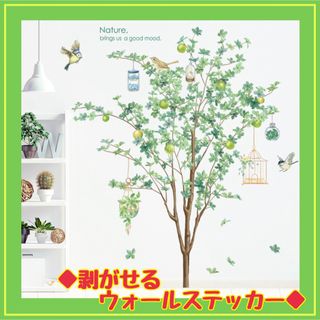 ウォールステッカー 模様替え グリーン 鳥 木 壁 植物 自然 欧風 インテリア(その他)