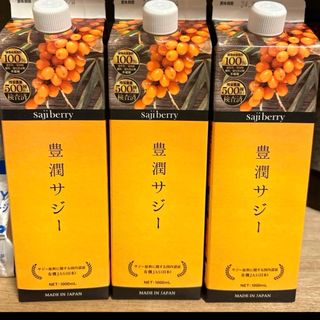 フィネス(Finess)の期間限定値下げフィネス 豊潤サジー 1000ml(その他)