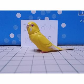 フルタセイカ(フルタ製菓)の[本体のみ] チョコエッグ ペット動物1 015 セキセイインコ（ルチノー(その他)