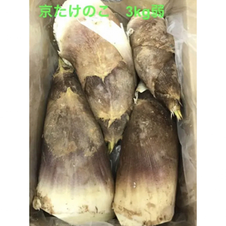 京都乙訓産　朝採り　たけのこ　3キロ弱　筍　竹の子(野菜)