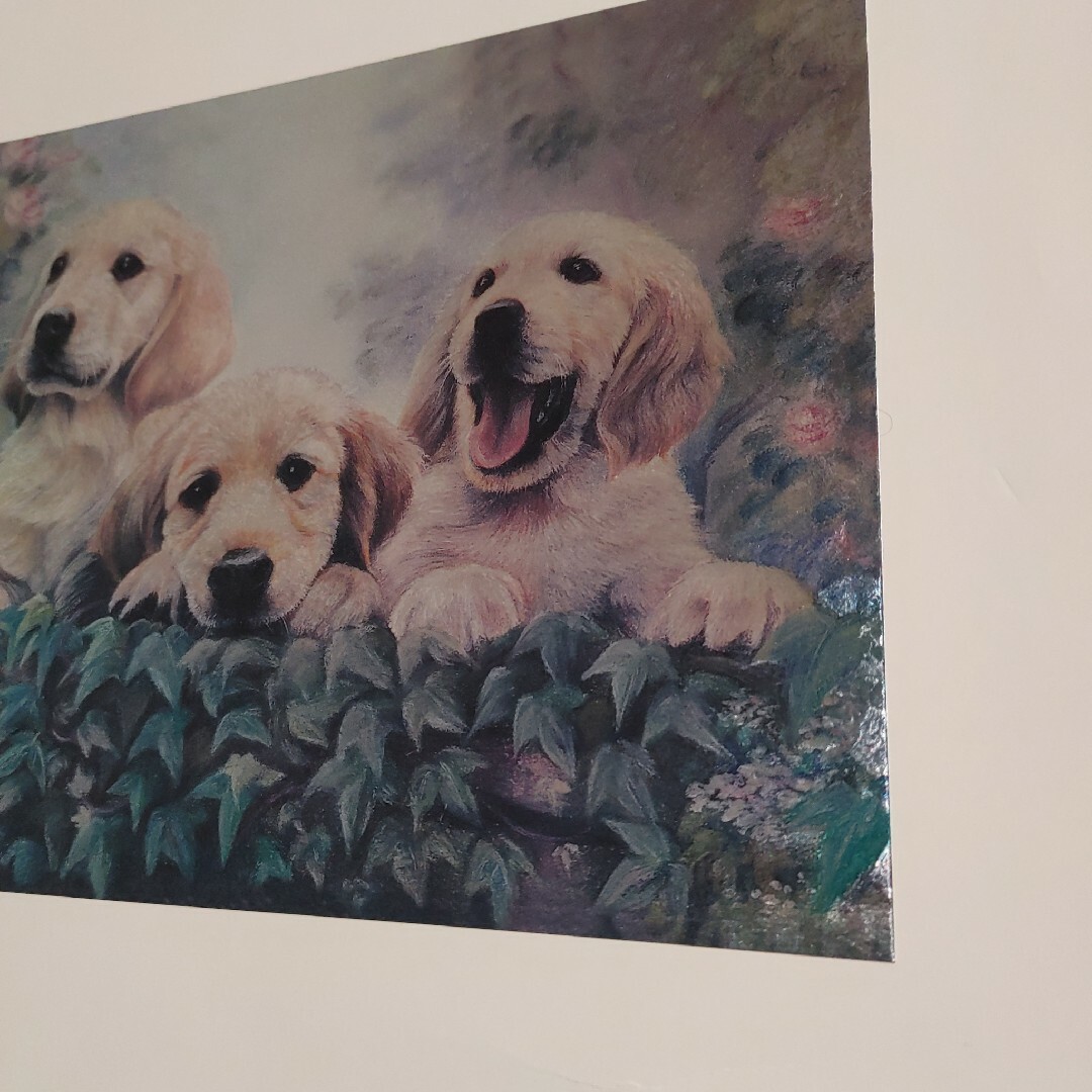 アルミ板の犬の絵 エンタメ/ホビーの美術品/アンティーク(版画)の商品写真