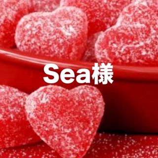 Sea様専用ページ🦋.*˚