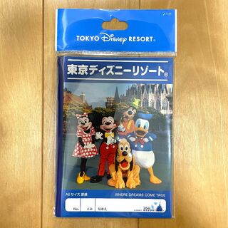 Disney - 東京ディズニーリゾート　A6ノート
