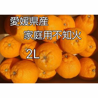 愛媛県産不知火　家庭用　２L　箱込み約４．５kg(フルーツ)