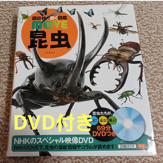 昆虫　講談社の動く図鑑MOVE　ムーブ　DVD付き(絵本/児童書)