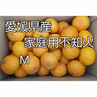 愛媛県産不知火　家庭用　Mサイズ　箱込み約４．５kg