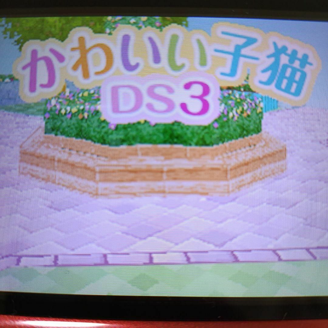 ニンテンドーDS(ニンテンドーDS)のかわいい子猫DS3 エンタメ/ホビーのゲームソフト/ゲーム機本体(携帯用ゲームソフト)の商品写真