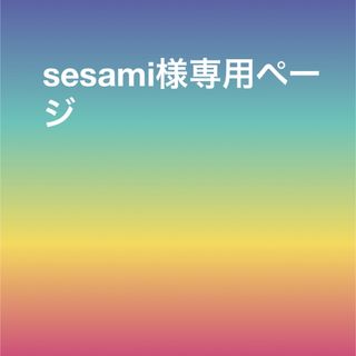 フローフシ(FLOWFUSHI)のsesami様専用ページ(その他)