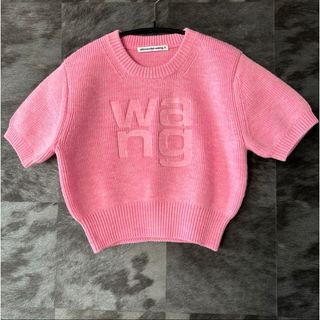 Alexander Wang - 【完売カラー】alexanderwang クロップド　ロゴニット　トップス　XS