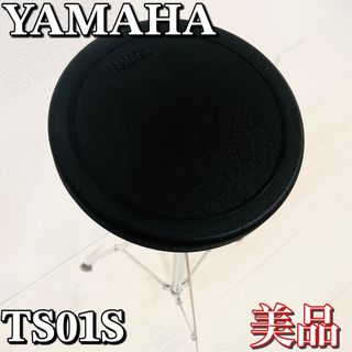 ヤマハ - 【美品】YAMAHAトレーニングパッド TS01S