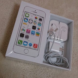 iPhone 5S付属品(その他)