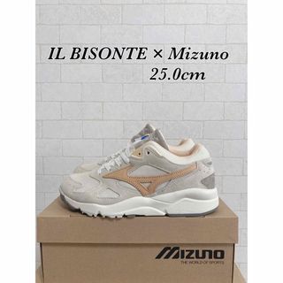 ミズノ(MIZUNO)の【25cm】イルビゾンテ × ミズノ スカイメダル(スニーカー)