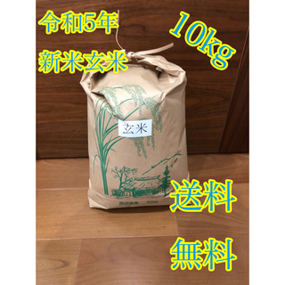 令和5年度産 新米 玄米ヒノヒカリ10kg 