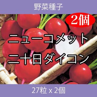 野菜種子 TVF08 ニューコメット二十日ダイコン 27粒 x 2個(野菜)