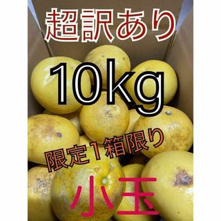 超訳あり土佐文旦　 小玉10kg(フルーツ)