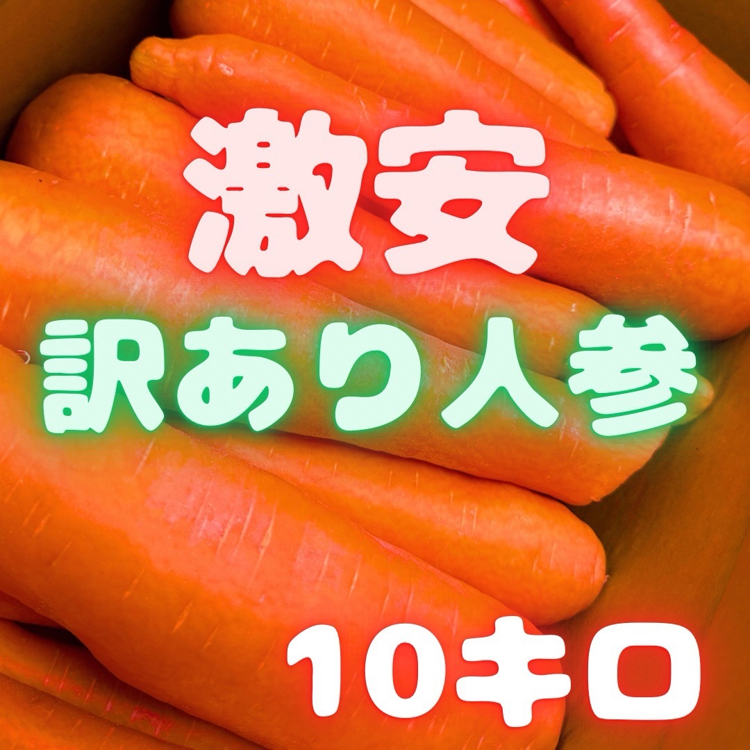 めっちゃ安い　訳あり　人参　10kg  01 食品/飲料/酒の食品(野菜)の商品写真