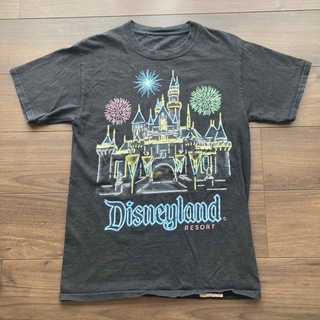 ディズニー(Disney)のウォルト・ディズニー・ワールド Tシャツ(Tシャツ(半袖/袖なし))