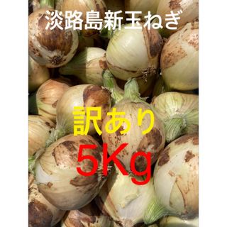 ★訳あり5Kg★淡路島新玉ねぎ　たまねぎ　玉葱(野菜)