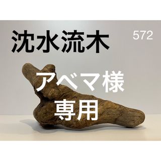 沈水　流木【572】(置物)