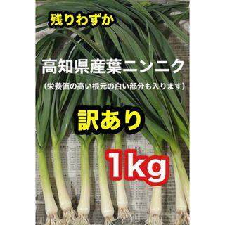 高知県産葉にんにく　葉ニンニク　野菜　産地直送1kg mdjw(野菜)