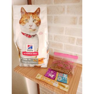 ヒルズ(Hill's)のHills　キャットドライフード(猫)