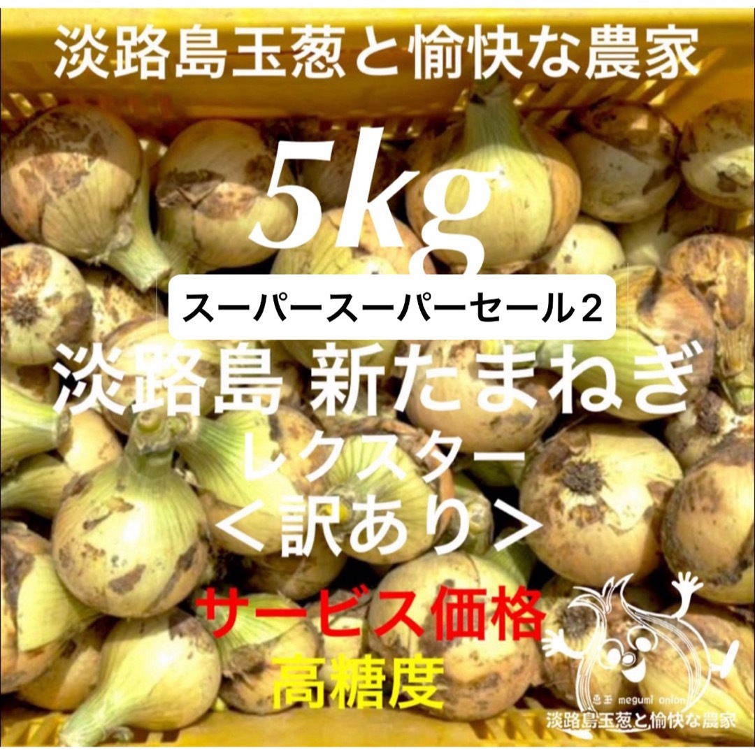 ＜訳あり＞淡路島産新玉ねぎ5kg 高糖度 新玉葱 新たまねぎ 新玉ねぎ 食品/飲料/酒の食品(野菜)の商品写真