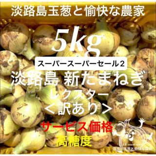 ＜訳あり＞淡路島産新玉ねぎ5kg 高糖度 新玉葱 新たまねぎ 新玉ねぎ(野菜)