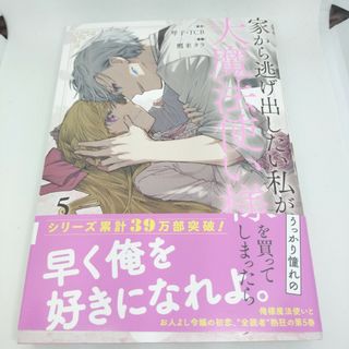 家から逃げ出したい私が、うっかり憧れの大魔法使い様を買ってしまったら