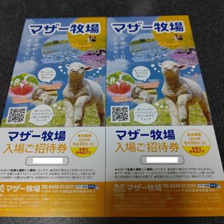 マザー牧場入場ご招待券 2枚 (入場無料券)(その他)