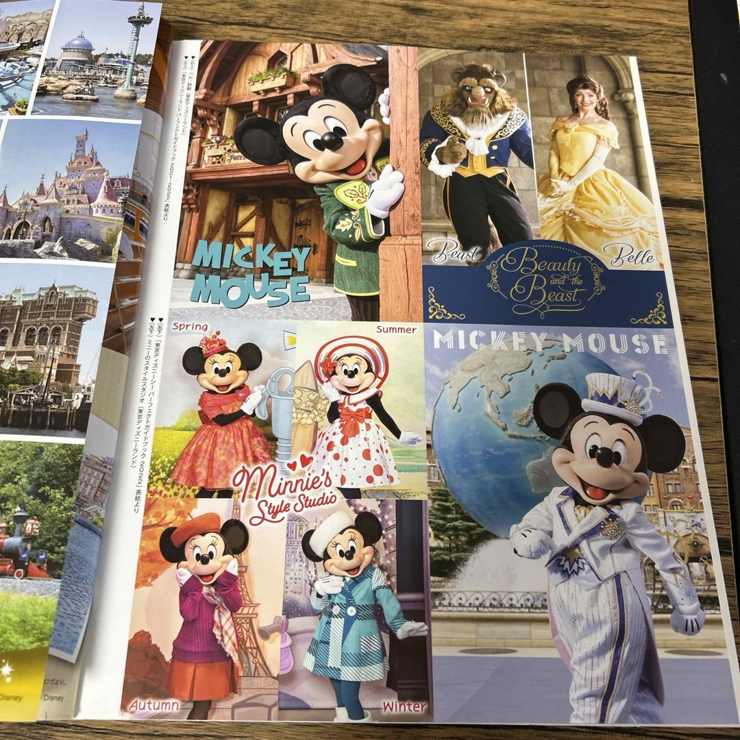 Disney(ディズニー)のDisney FAN (ディズニーファン) 2022年 03月号 [雑誌] エンタメ/ホビーの雑誌(その他)の商品写真