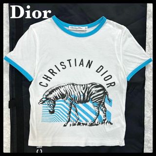 クリスチャンディオール(Christian Dior)のクリスチャンディオール☆ビッグロゴ入りリンガーTシャツ シマウマ ゼブラ(Tシャツ(半袖/袖なし))