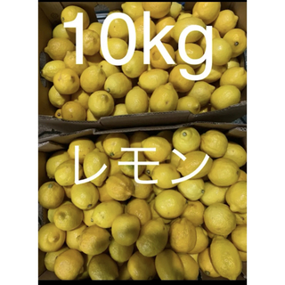 アメリカ産 訳ありレモン約10キロ(フルーツ)