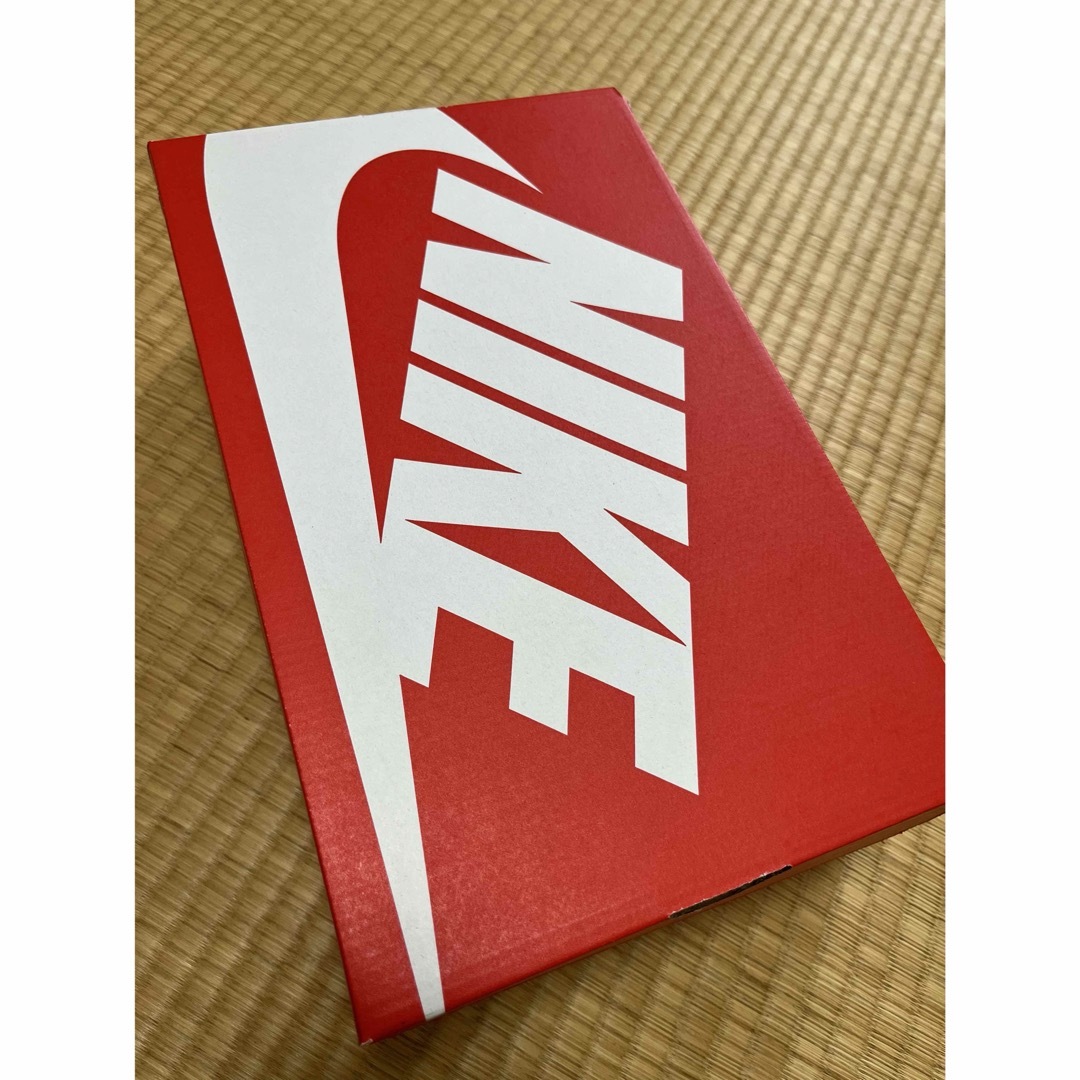 NIKE(ナイキ)のNIKEテックヘラスニーカー レディースの靴/シューズ(スニーカー)の商品写真