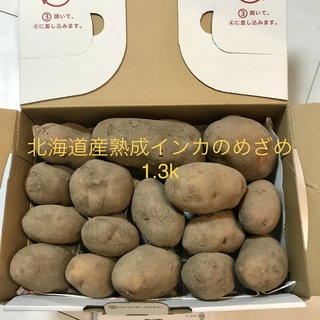 北海道産熟成インカのめざめ　1.3k(野菜)