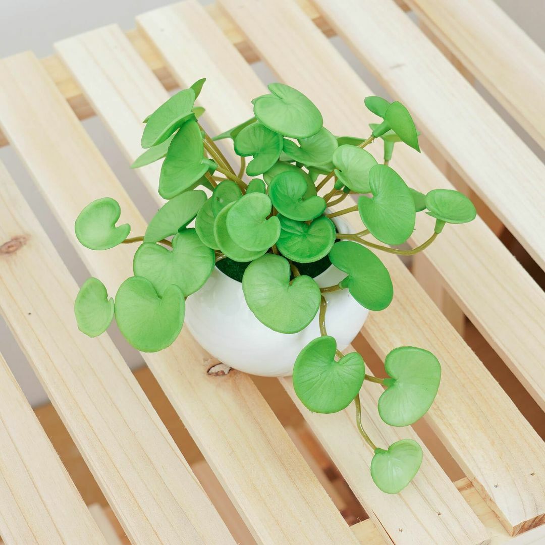 WillingYou 観葉植物 フェイク ミニ インテリアグリーン indoor その他のその他(その他)の商品写真