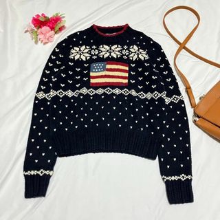 ラルフローレン(Ralph Lauren)のラルフローレン ポロスポーツ 90s ビンテージ 星条旗 雪柄 ニット M(ニット/セーター)