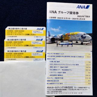 エーエヌエー(ゼンニッポンクウユ)(ANA(全日本空輸))のANA 株主優待券(航空券)