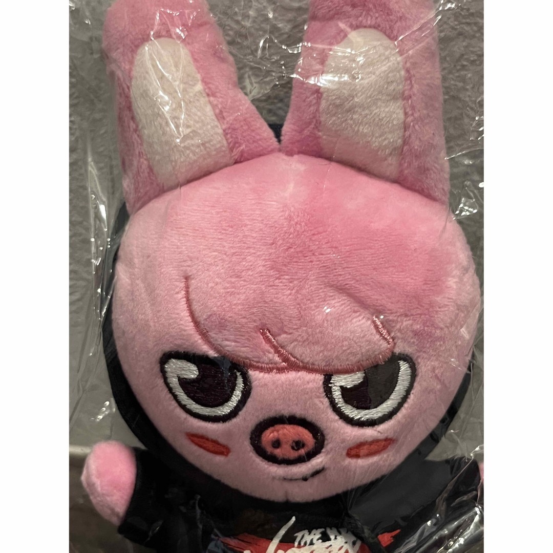 Stray Kids(ストレイキッズ)のSKZOO PLUSH MINI Ver. DWAEKKI トェッキ　チャンビン エンタメ/ホビーのタレントグッズ(アイドルグッズ)の商品写真