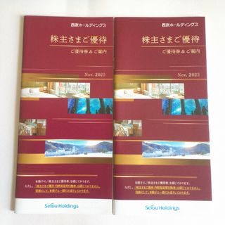 西武ホールディングス株主優待 2冊 (20000円分他)(その他)