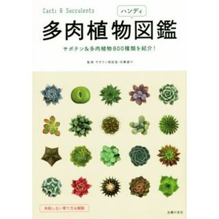 多肉植物ハンディ図鑑 サボテン＆多肉植物８００種類を紹介！／羽兼直行,サボテン相談室(住まい/暮らし/子育て)